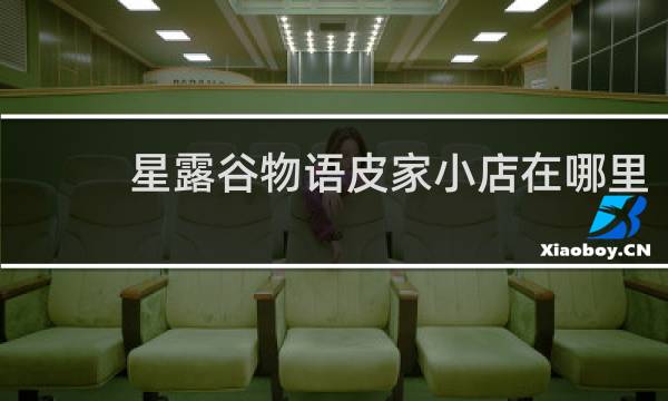 星露谷物语皮家小店在哪里