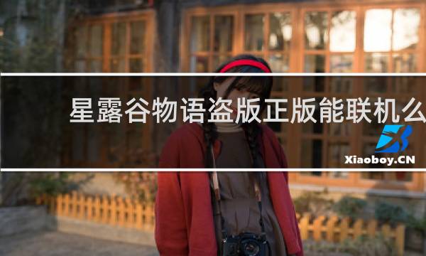 星露谷物语盗版正版能联机么
