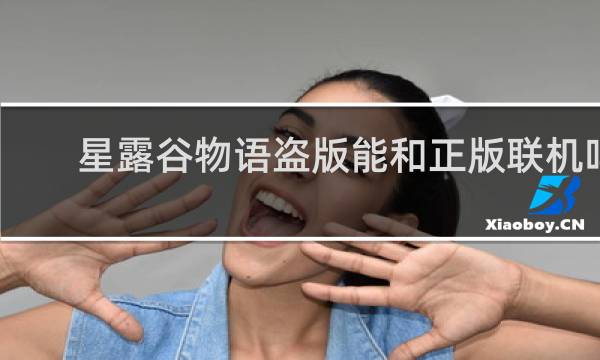 星露谷物语盗版能和正版联机吗
