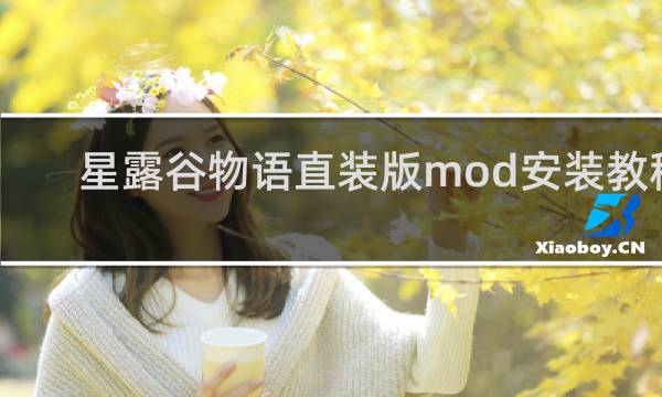 星露谷物语直装版mod安装教程