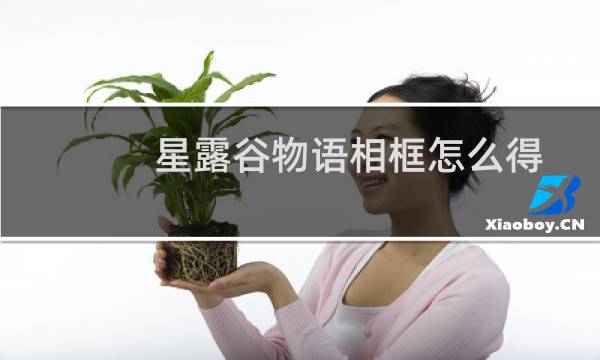 星露谷物语相框怎么得