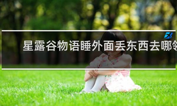 星露谷物语睡外面丢东西去哪领