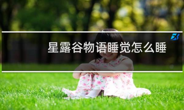 星露谷物语睡觉怎么睡
