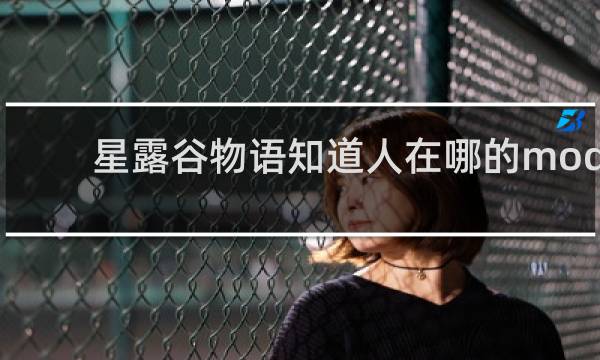 星露谷物语知道人在哪的mod