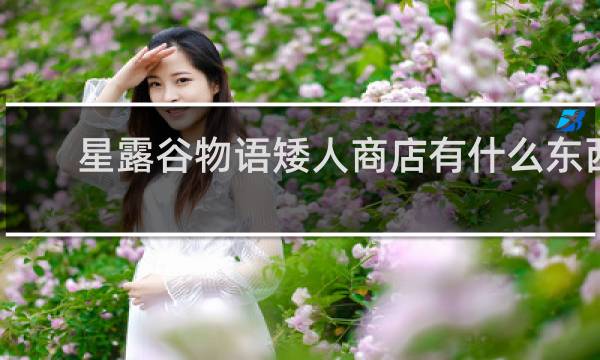 星露谷物语矮人商店有什么东西