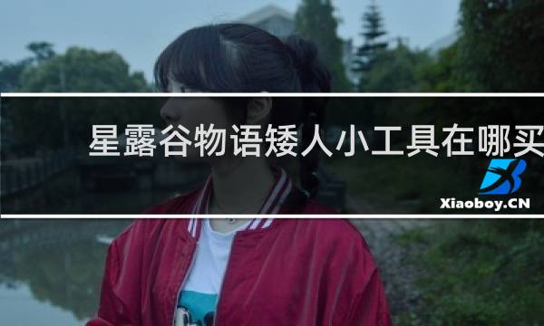 星露谷物语矮人小工具在哪买