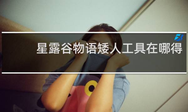 星露谷物语矮人工具在哪得