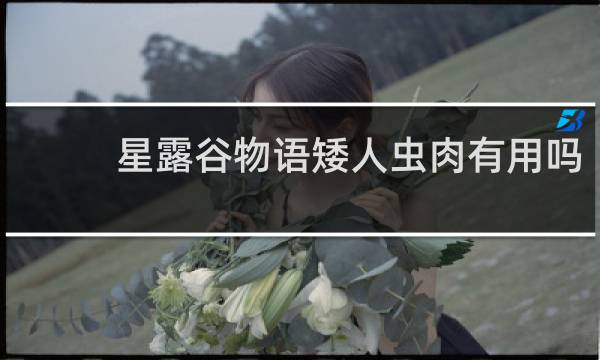 星露谷物语矮人虫肉有用吗