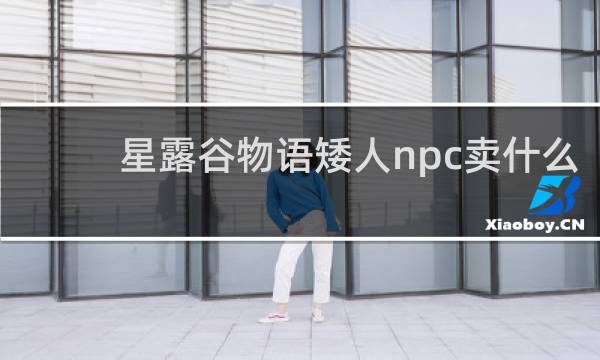 星露谷物语矮人npc卖什么