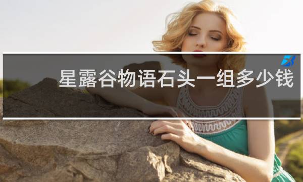 星露谷物语石头一组多少钱