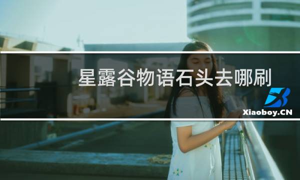 星露谷物语石头去哪刷