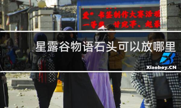 星露谷物语石头可以放哪里