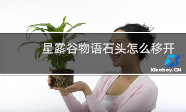 星露谷物语石头怎么移开
