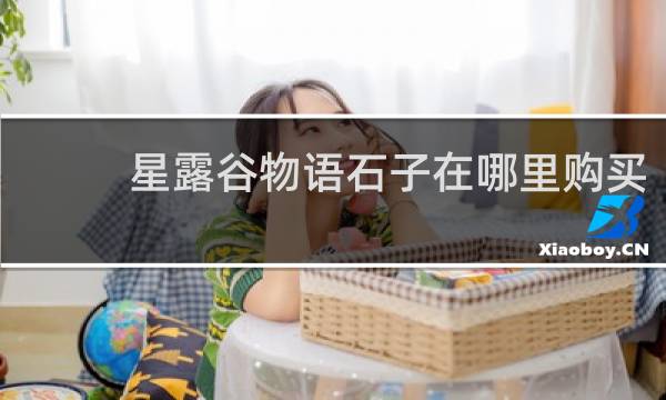 星露谷物语石子在哪里购买