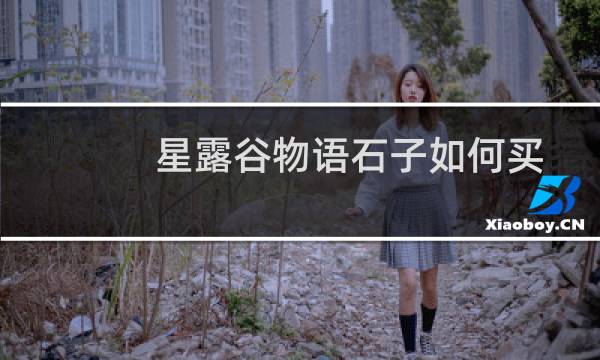 星露谷物语石子如何买