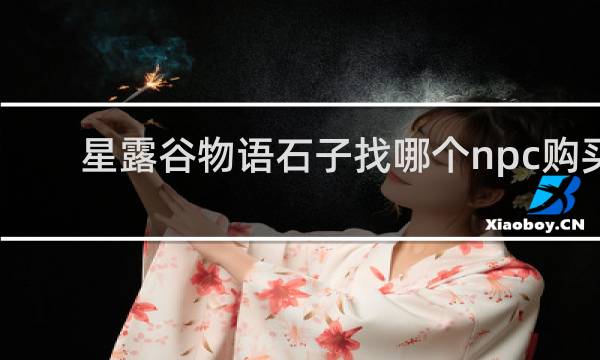 星露谷物语石子找哪个npc购买