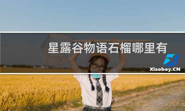 星露谷物语石榴哪里有