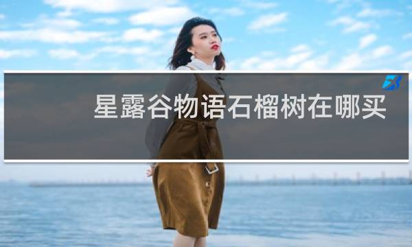 星露谷物语石榴树在哪买