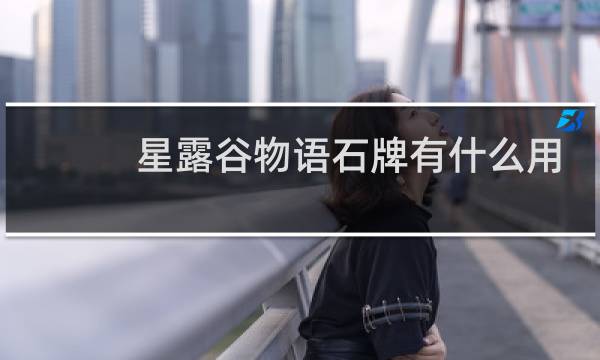 星露谷物语石牌有什么用