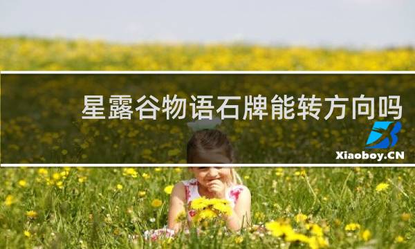 星露谷物语石牌能转方向吗