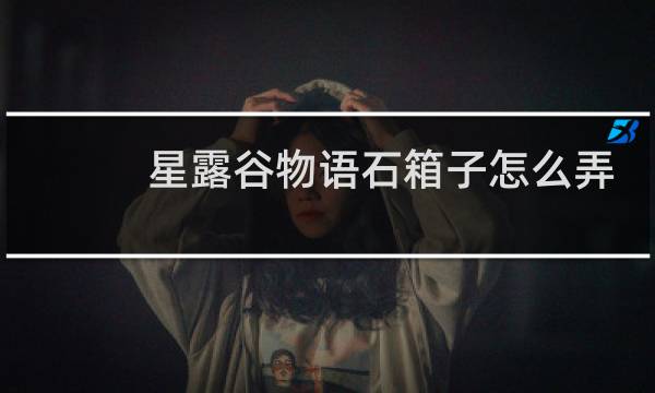 星露谷物语石箱子怎么弄