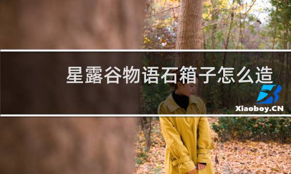 星露谷物语石箱子怎么造