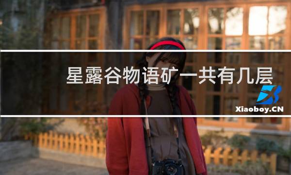 星露谷物语矿一共有几层