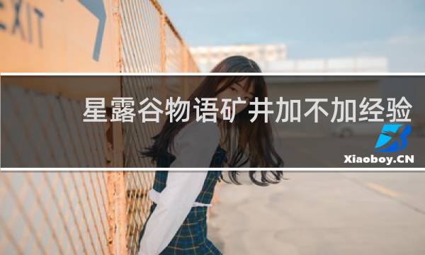 星露谷物语矿井加不加经验