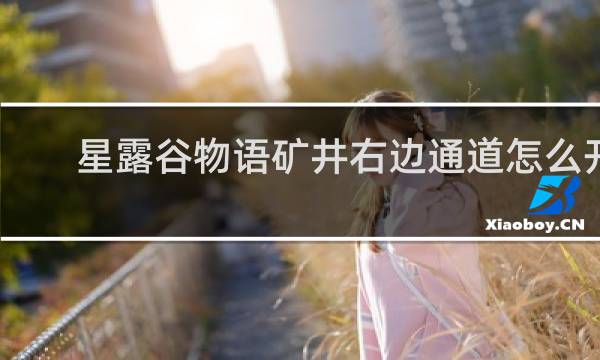 星露谷物语矿井右边通道怎么开
