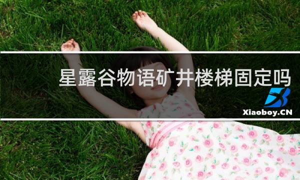 星露谷物语矿井楼梯固定吗