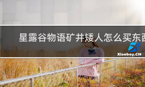 星露谷物语矿井矮人怎么买东西