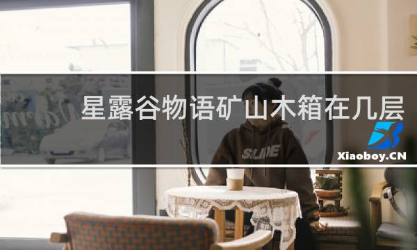 星露谷物语矿山木箱在几层