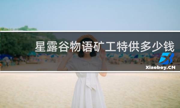 星露谷物语矿工特供多少钱