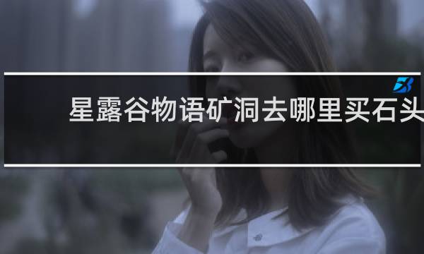 星露谷物语矿洞去哪里买石头