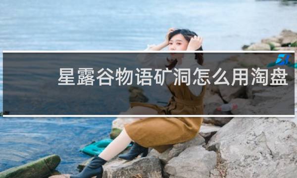 星露谷物语矿洞怎么用淘盘