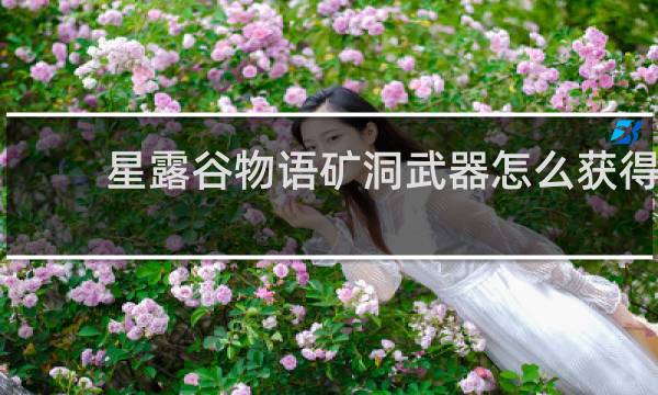 星露谷物语矿洞武器怎么获得