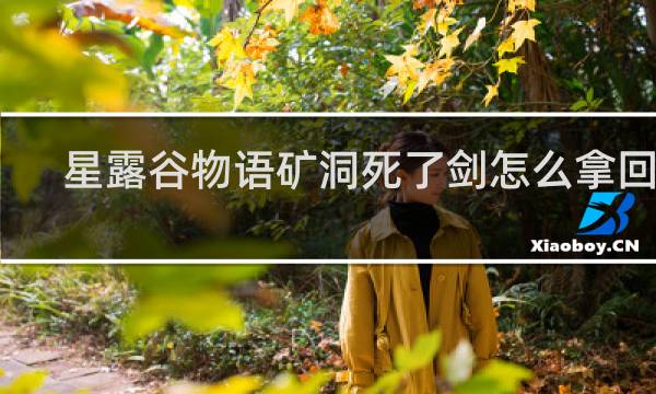星露谷物语矿洞死了剑怎么拿回来