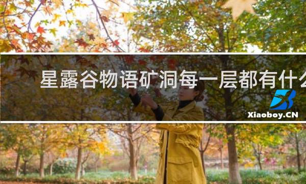星露谷物语矿洞每一层都有什么