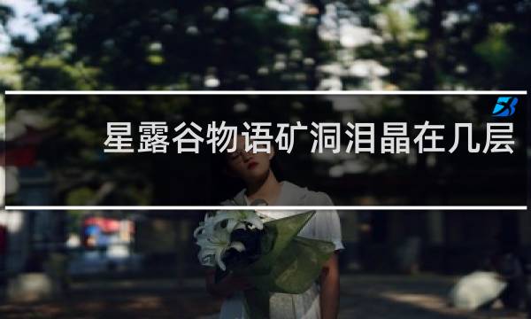 星露谷物语矿洞泪晶在几层