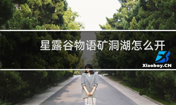 星露谷物语矿洞湖怎么开