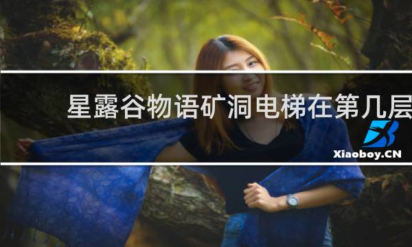 星露谷物语矿洞电梯在第几层