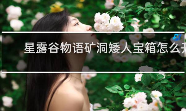 星露谷物语矿洞矮人宝箱怎么开