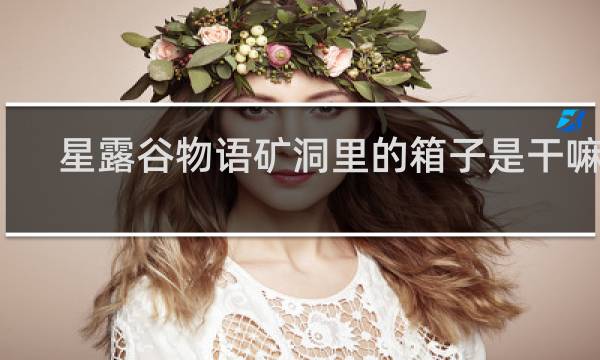 星露谷物语矿洞里的箱子是干嘛的