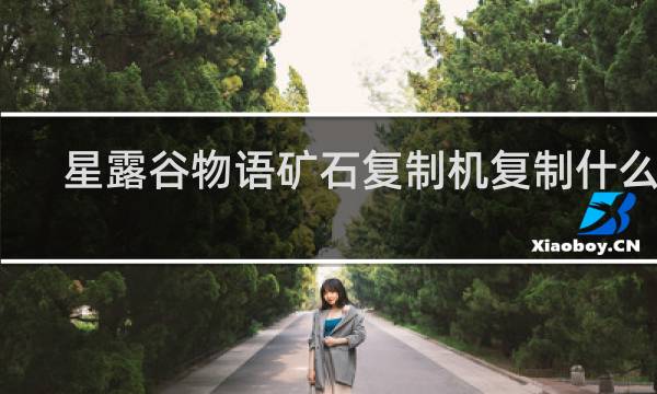 星露谷物语矿石复制机复制什么好