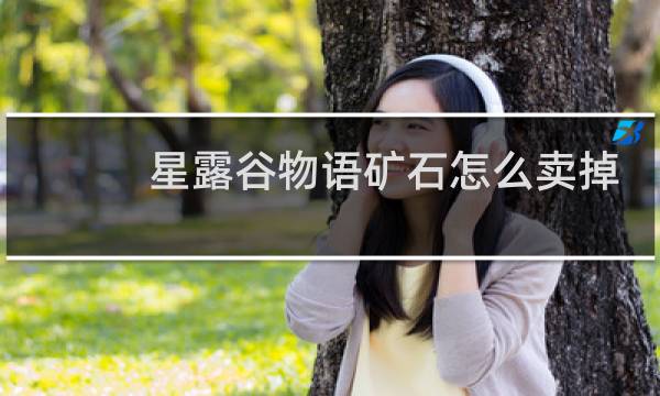 星露谷物语矿石怎么卖掉