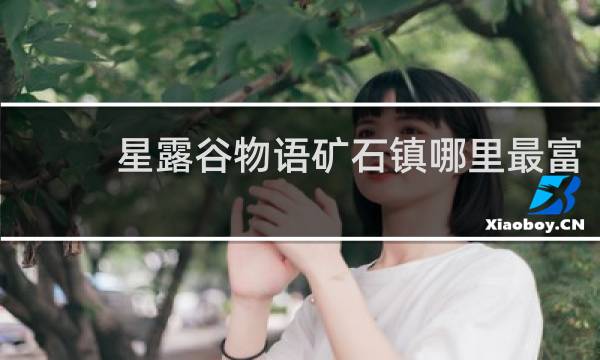 星露谷物语矿石镇哪里最富