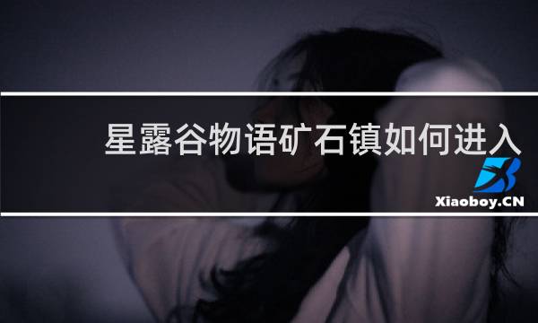 星露谷物语矿石镇如何进入