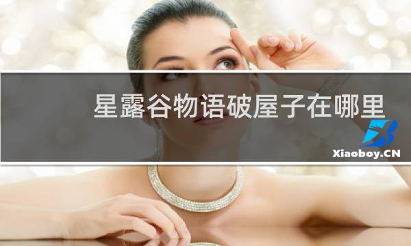 星露谷物语破屋子在哪里