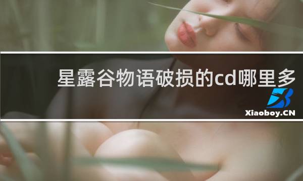 星露谷物语破损的cd哪里多