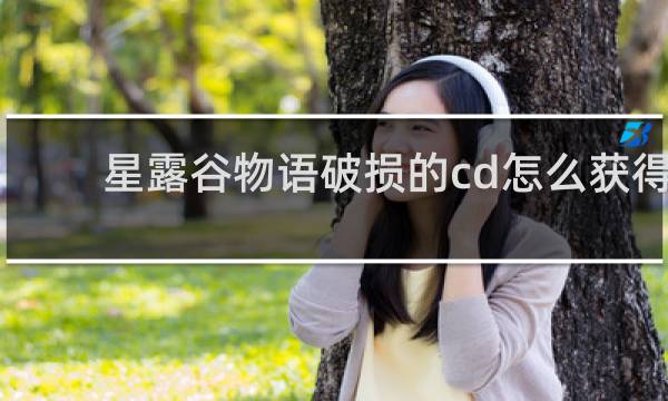 星露谷物语破损的cd怎么获得